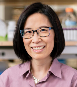 Qizhi Tang, PhD