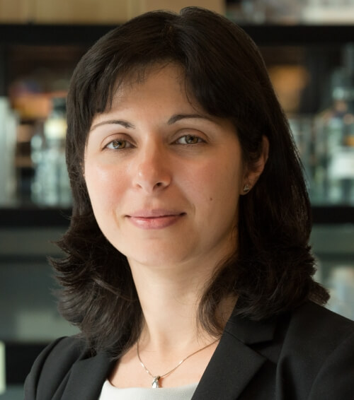 Jeanne Paz, PhD