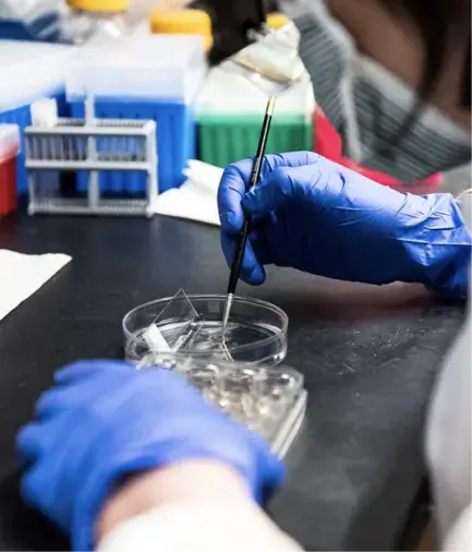 Leveraged CRISPR Technology to Develop Rapid Viral Infection Diagnostic Tools with Mobile Phones