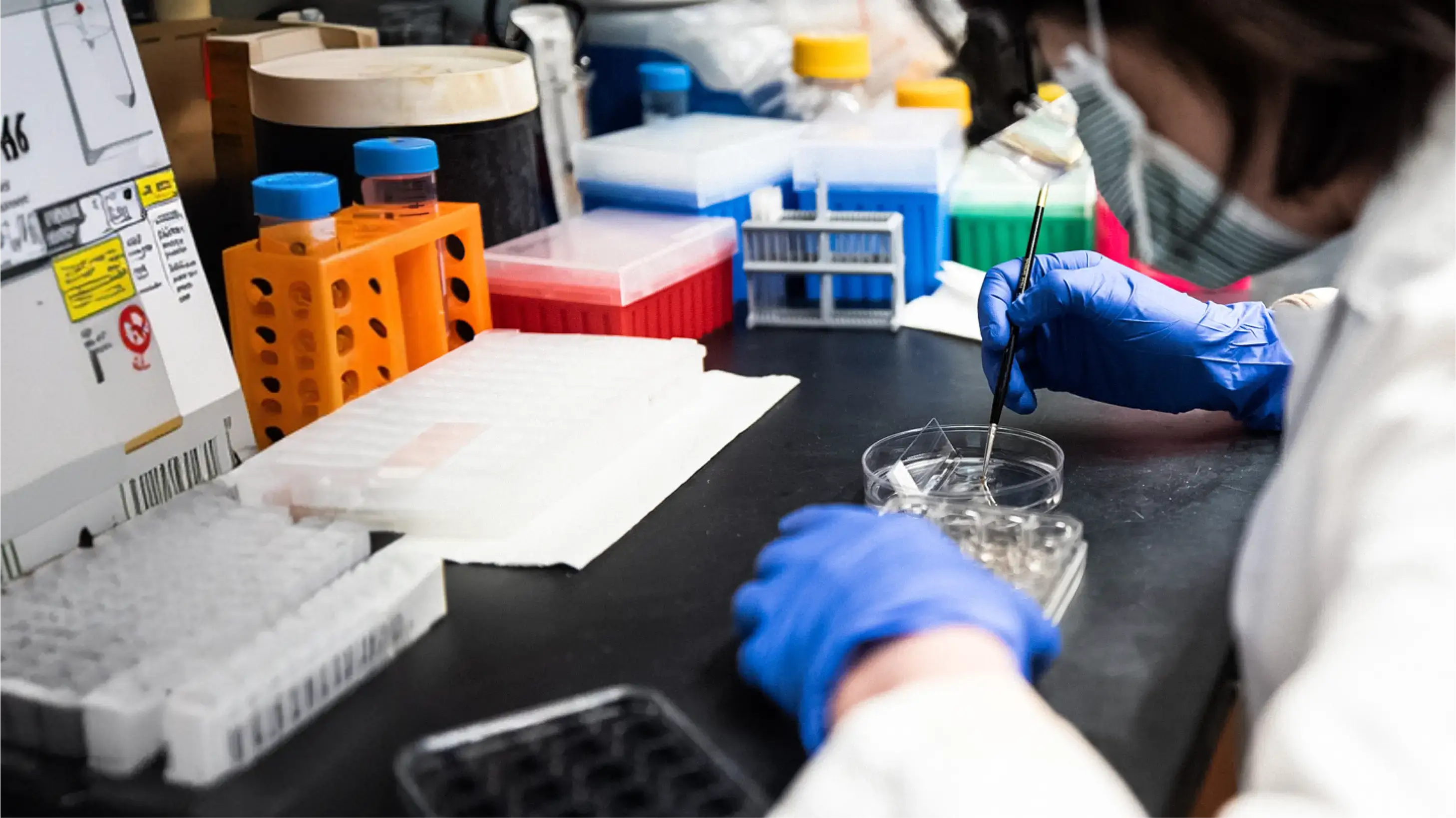 A researcher in blue gloves and a face mask uses tweezers to handle a coverslip in a petri dish on a lab bench.