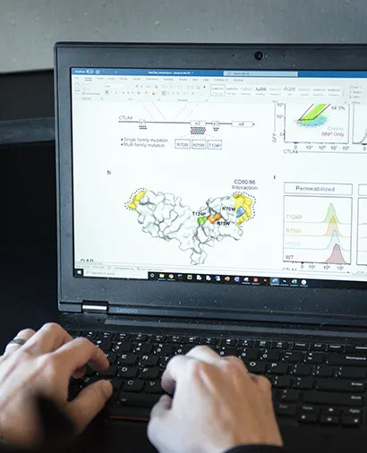 close up of hands working on a laptop with scientific images on the screen