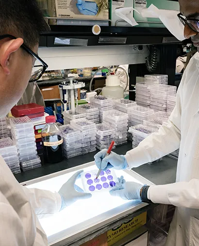 two scientists working at a lab bench, holding onto a well plate