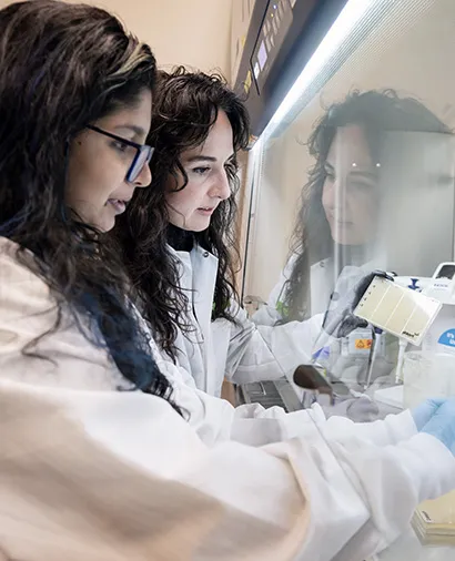 Two scientists working at a lab hood together