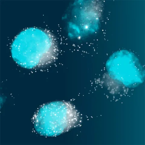 Autoimmune Disease