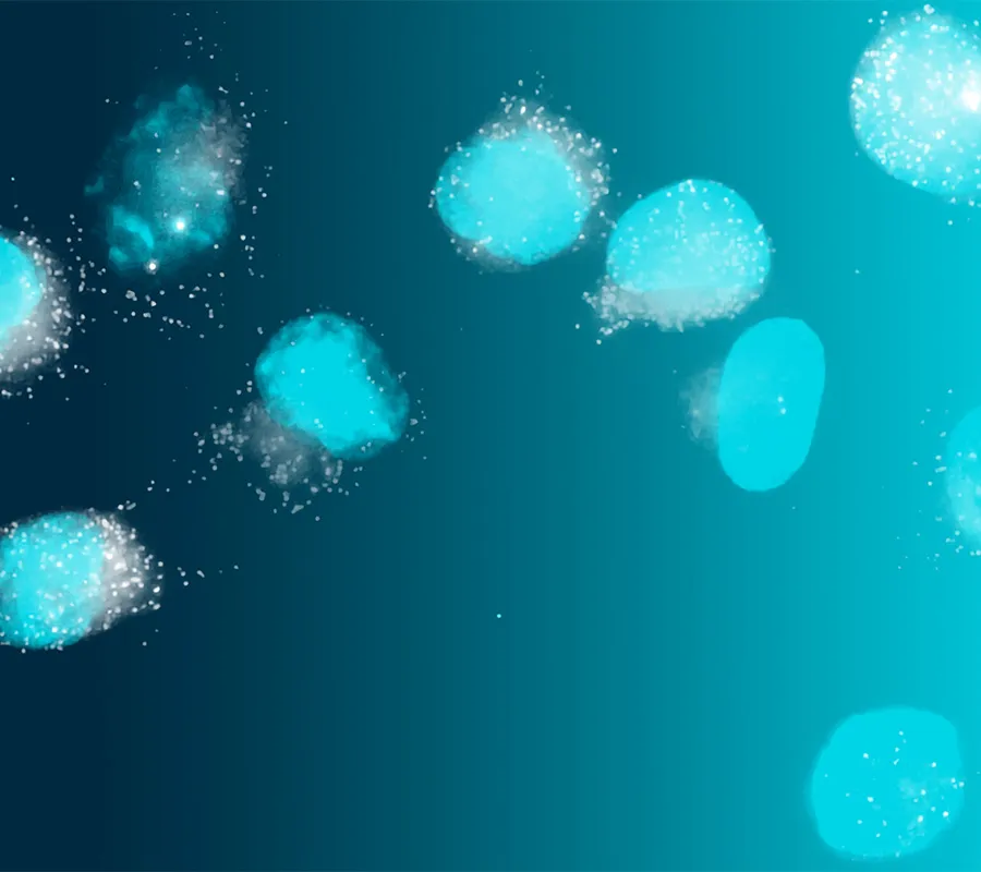 Autoimmune Disease