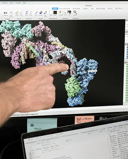 Close up of a hand pointing at a computer screen
