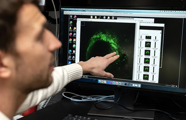 Scientist pointing at a screen with a green microscopy image