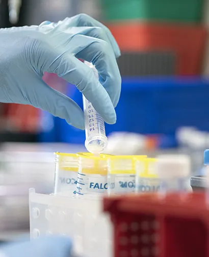 Close up of gloved hands turning over a lab tube and pouring it into another tube.