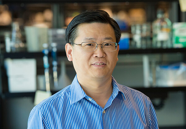Portrait of Yadong Huang, MD, PhD
