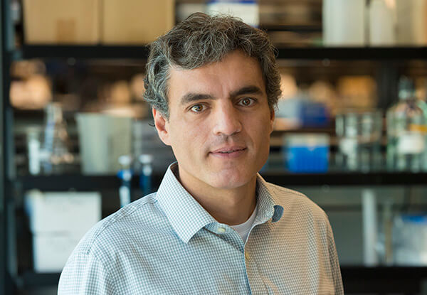 Portrait of Jorge J. Palop, PhD