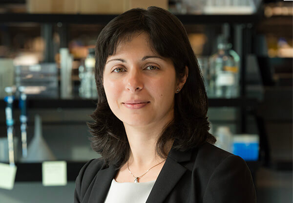 Portrait of Jeanne T. Paz, PhD