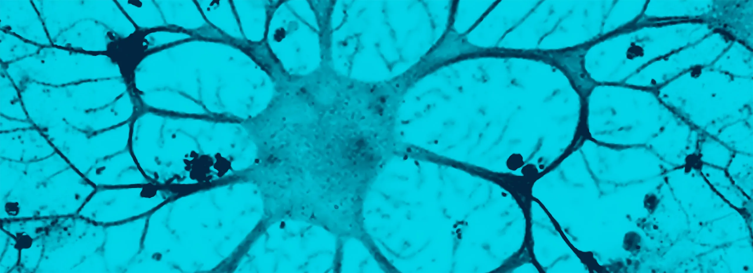 Disease Banner Image
