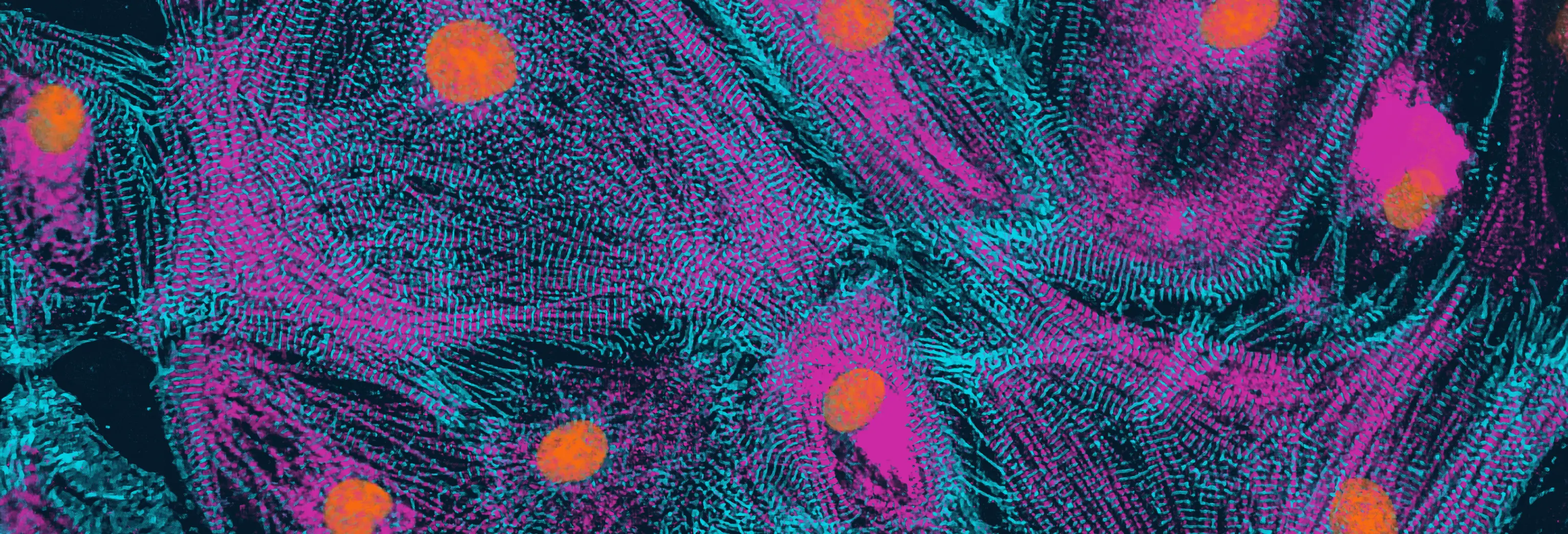 Disease Banner Image