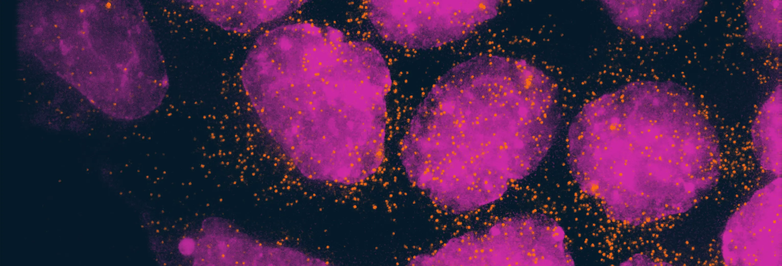 Disease Banner Image