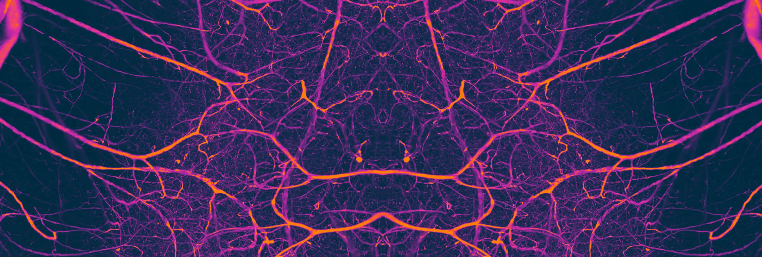 Disease Banner Image