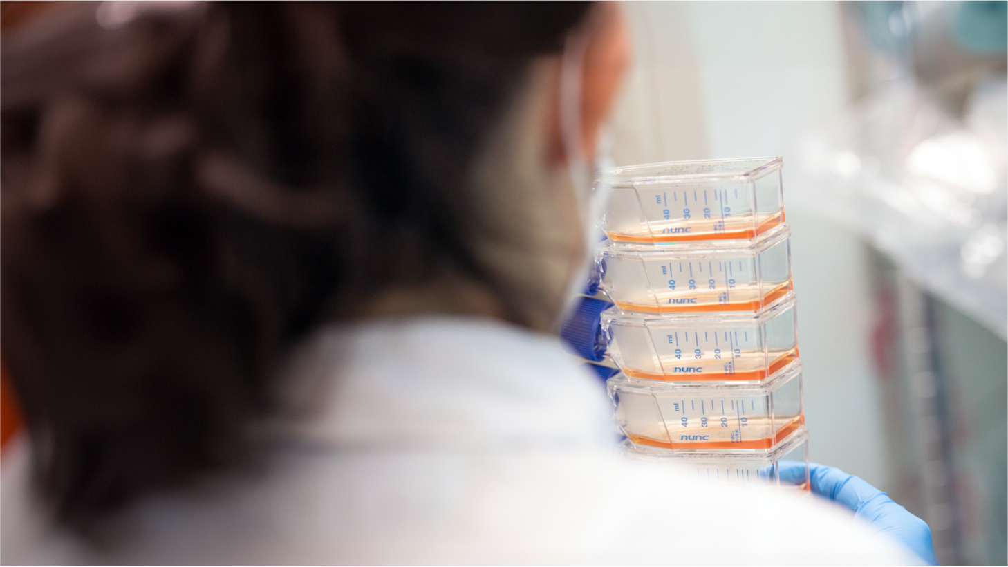 The Parker Institute for Cancer Immunotherapy at Gladstone Institutes