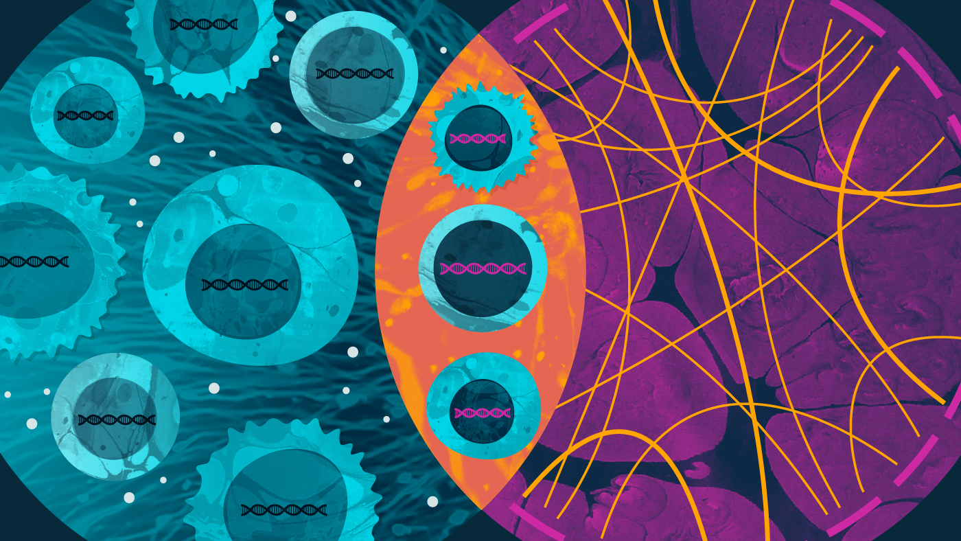 Graphic representing research in the Gladstone-UCSF Institute of Genomic Immunology