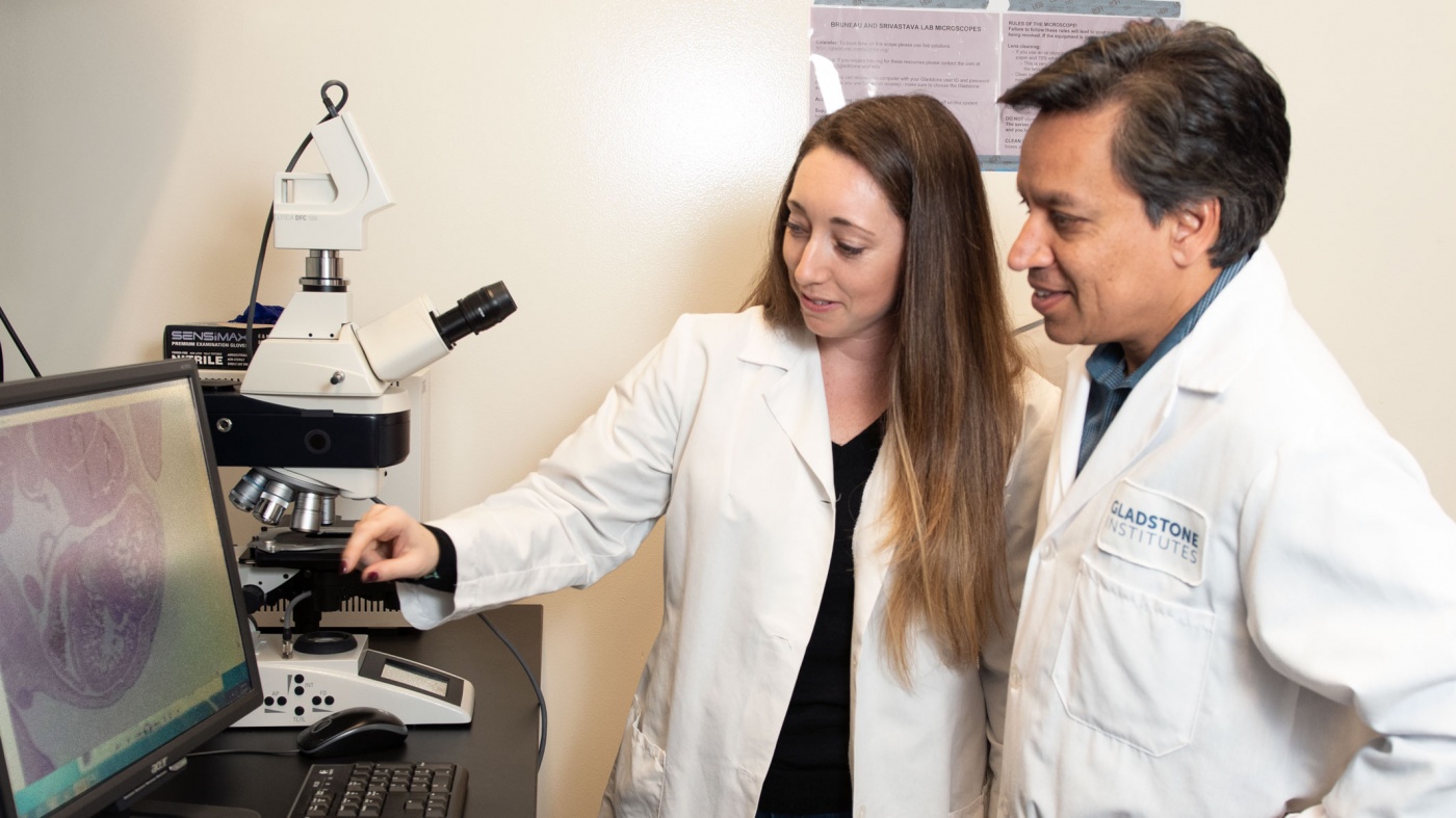 Deepak Srivastava and Casey Gifford working in the lab