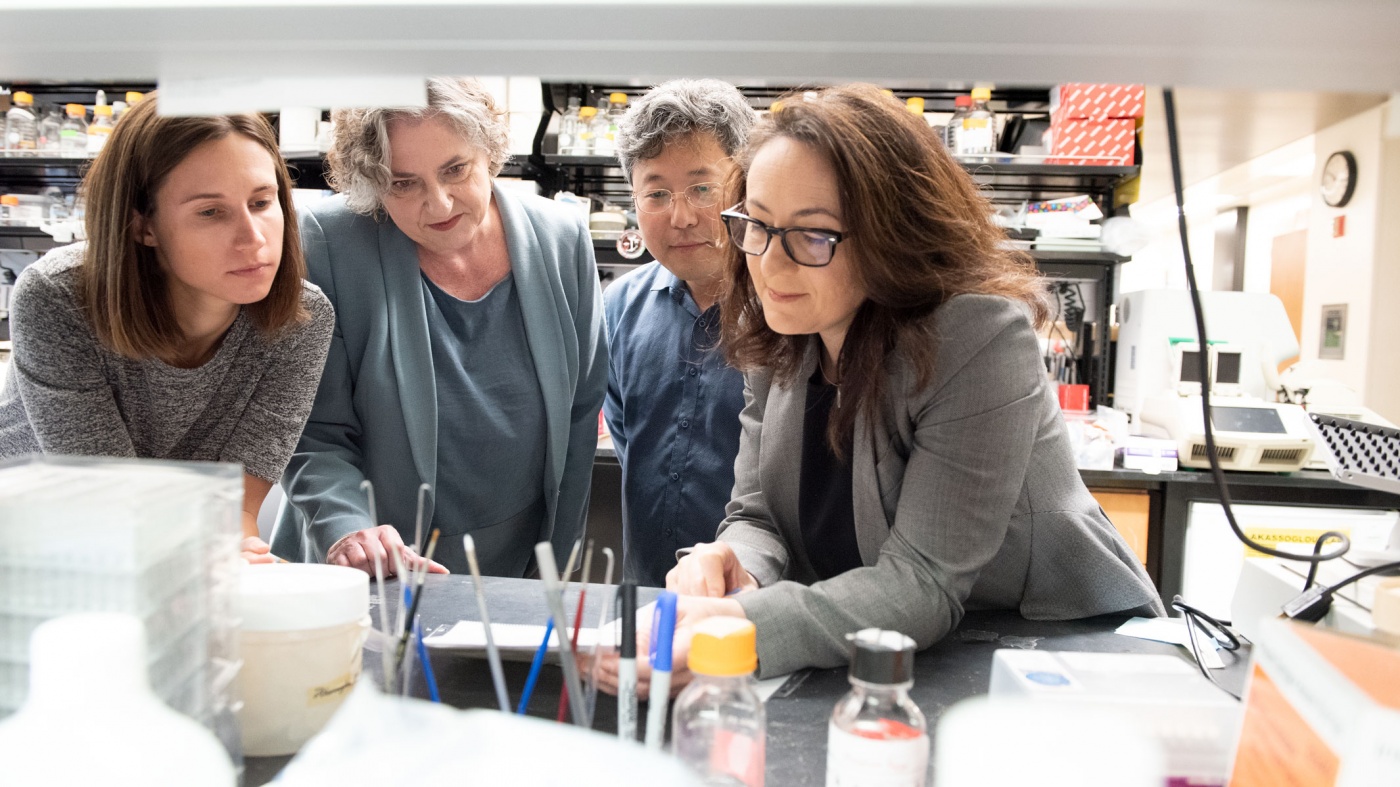 Four scientists collaborating in a lab