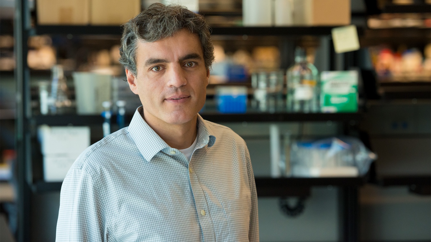 Jorge Palop in the lab