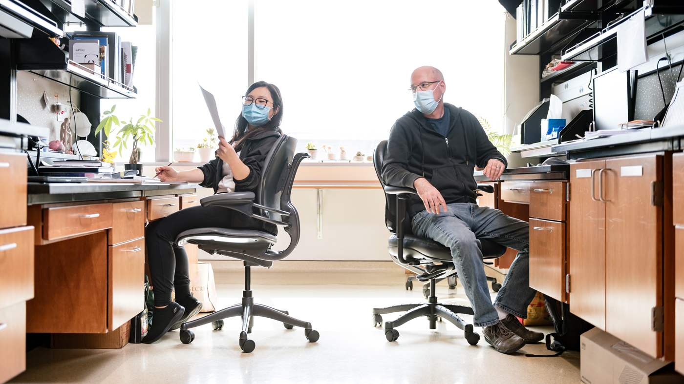 Jason Neidleman and Xiaoyu Luo in Nadia Roan's lab at Gladstone Institutes.