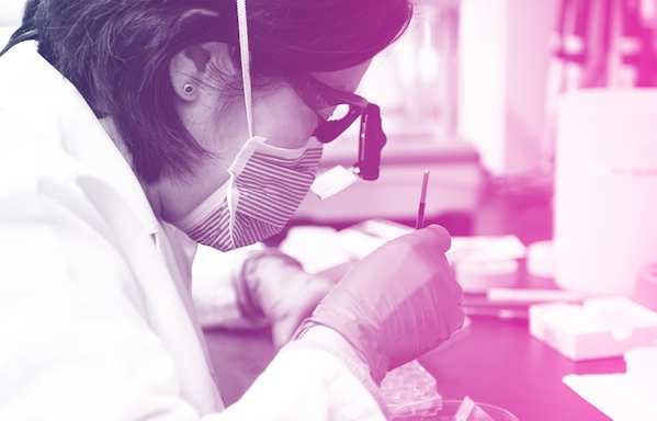 A Revolutionary Stem-Cell Therapy Must Proceed Responsibly to Achieve its Full Potential