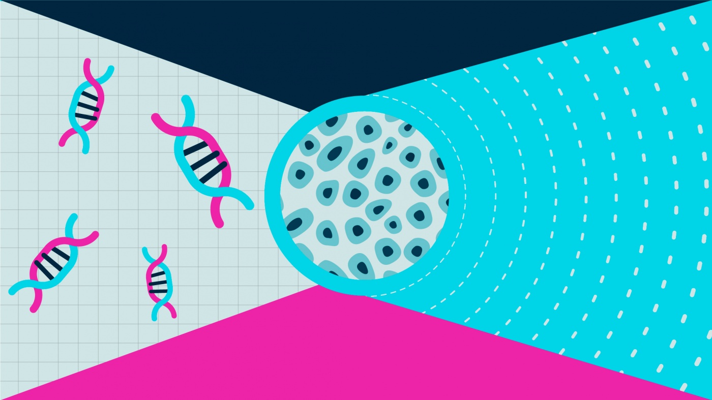 Illustration of stem cells