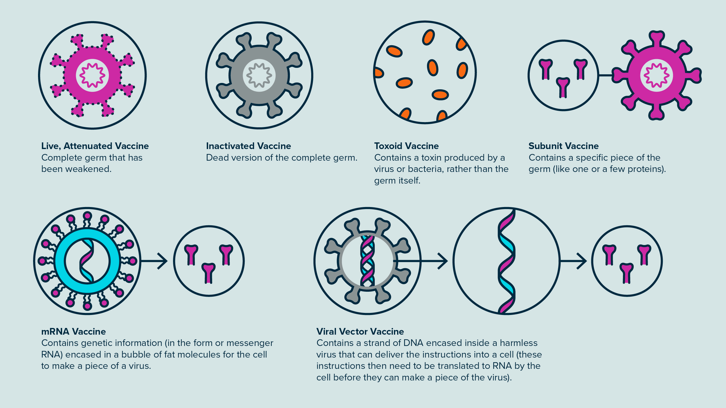 Types of vaccines