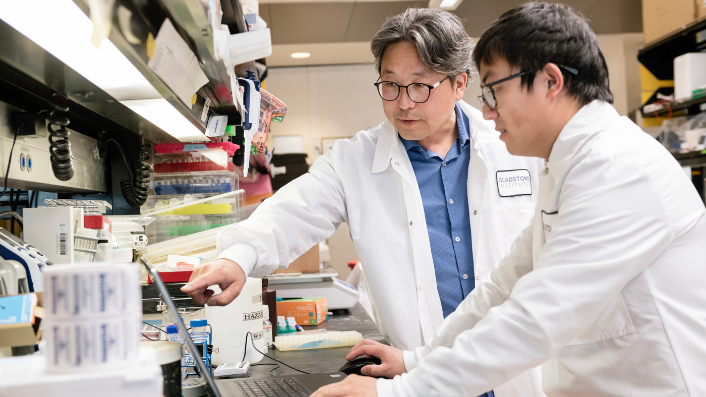 Jae Kyu Ryu, left, and Zhaoqi Yan, right, collaborate in Gladstone lab of Katerina Akassoglou.