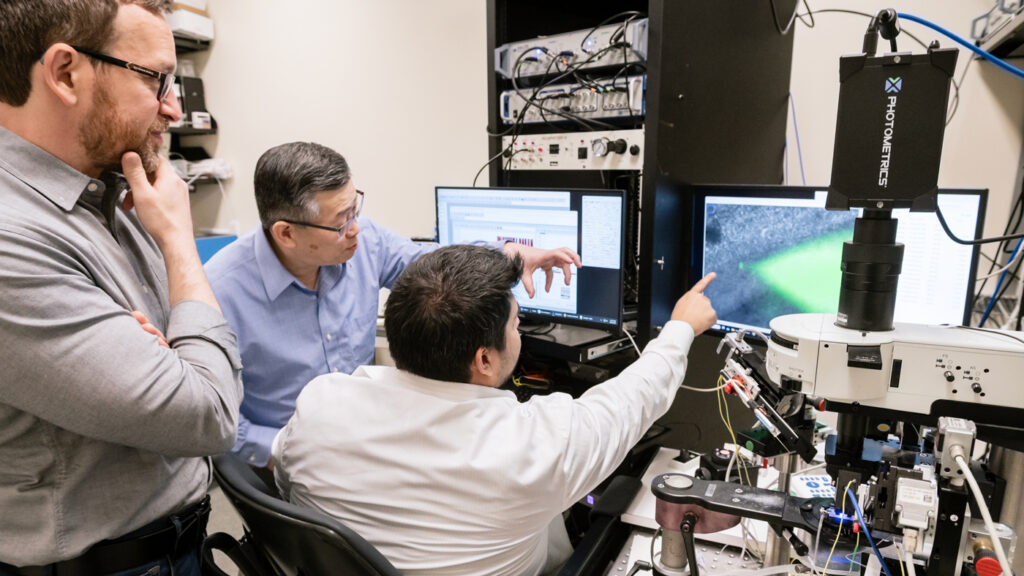 How an Alzheimer’s Risk Gene Disrupts Brain Circuits Long Before Memory Loss