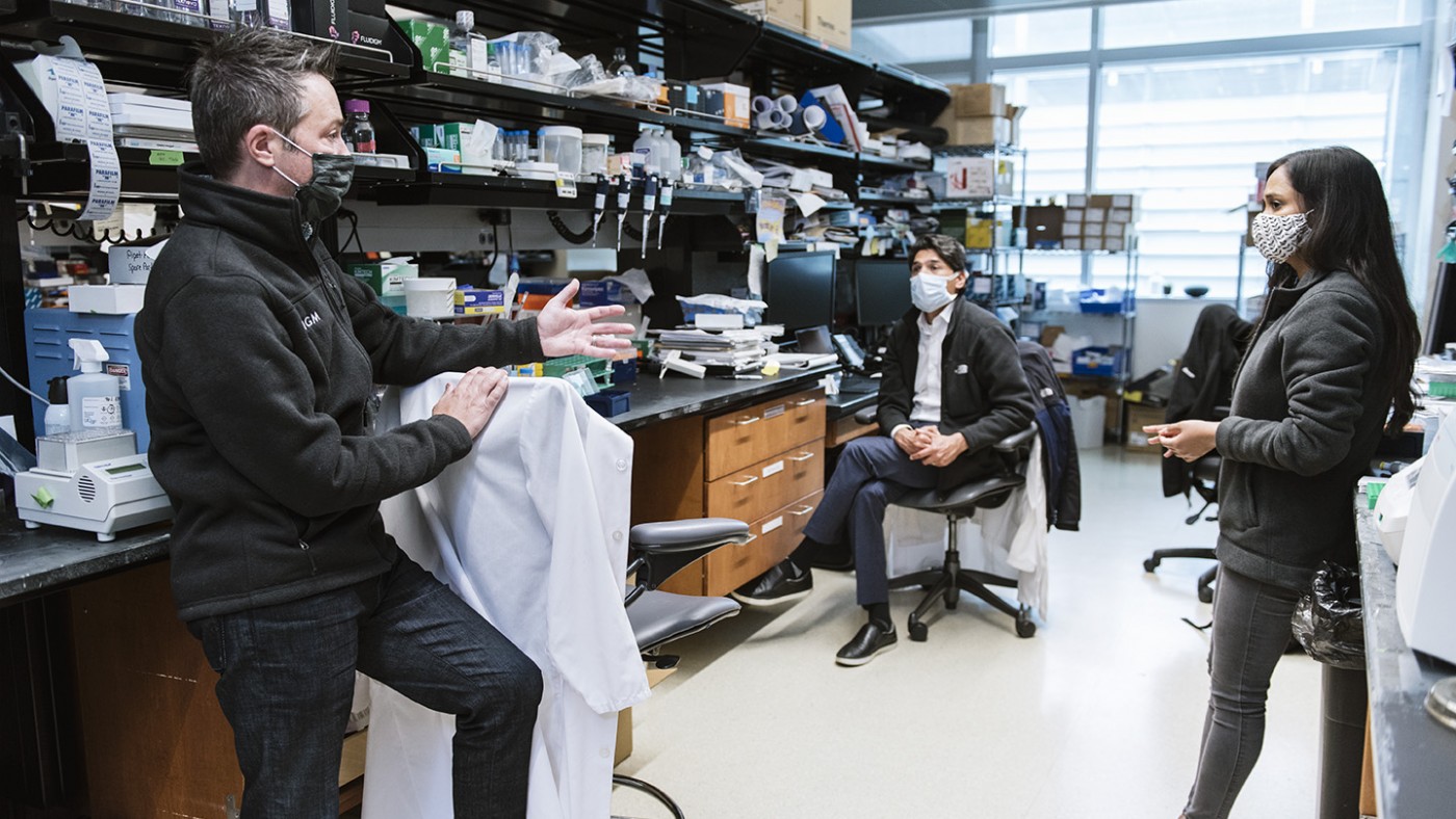 Bruneau lab, Gladstone Institutes