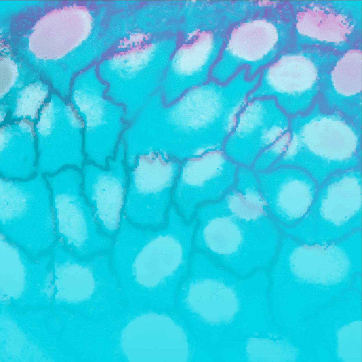 Multimodal AI for Decoding Cellular Complexity