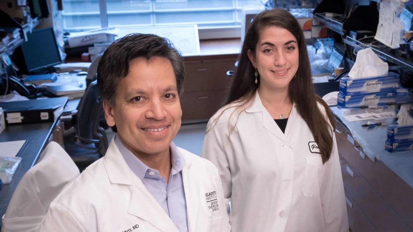 Deepak Srivastava and Christina Theodoris