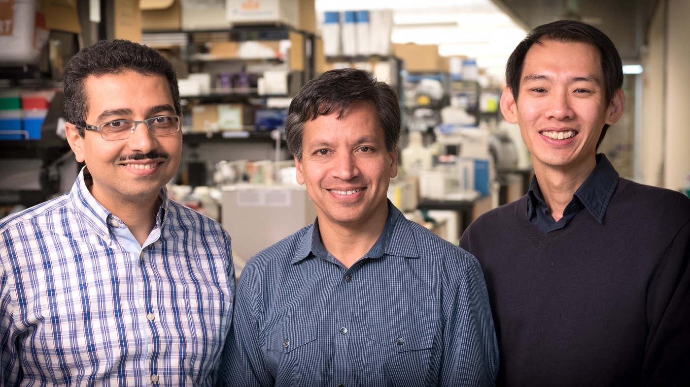 Tamer Mohamed, Deepak Srivastava, and Yen-Sin Ang