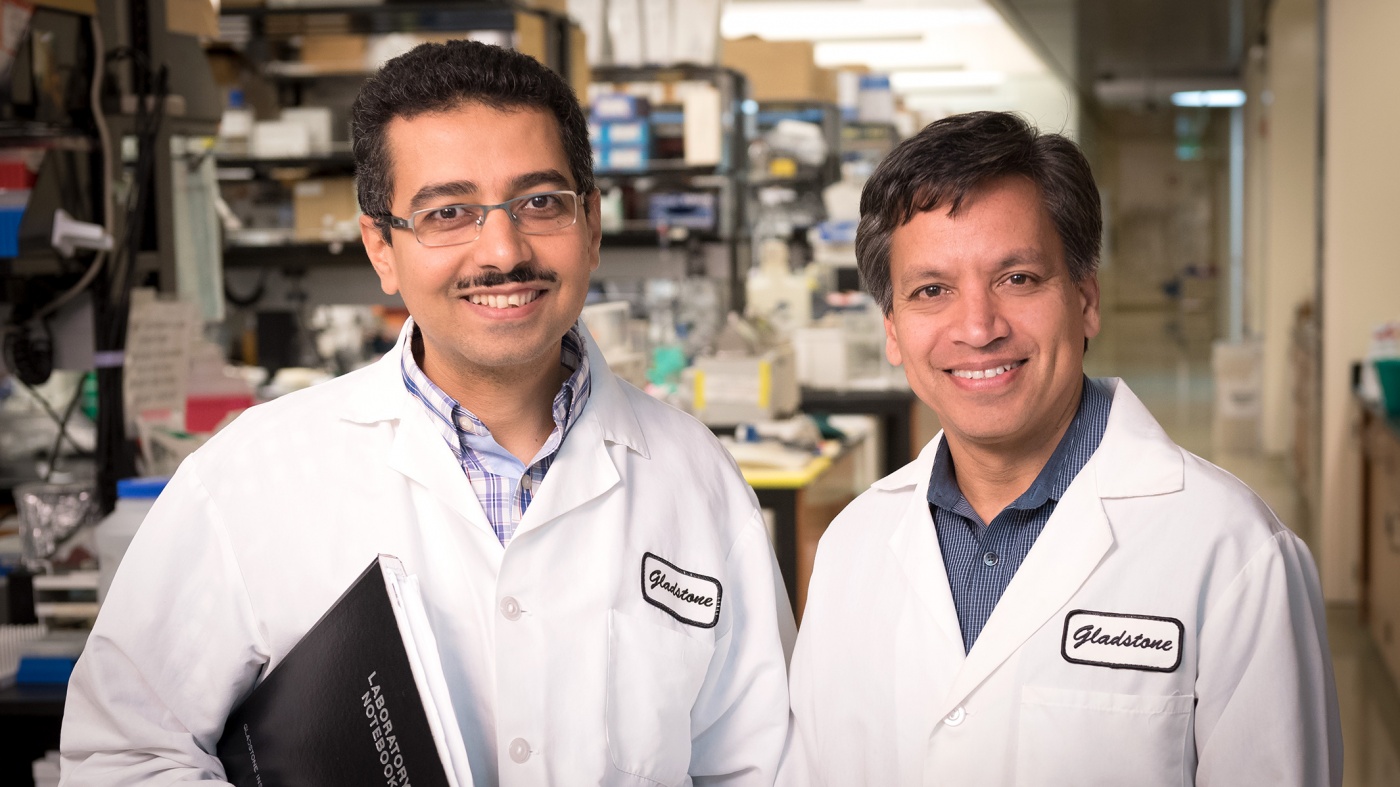 Deepak Srivastava and Tamer Mohamed