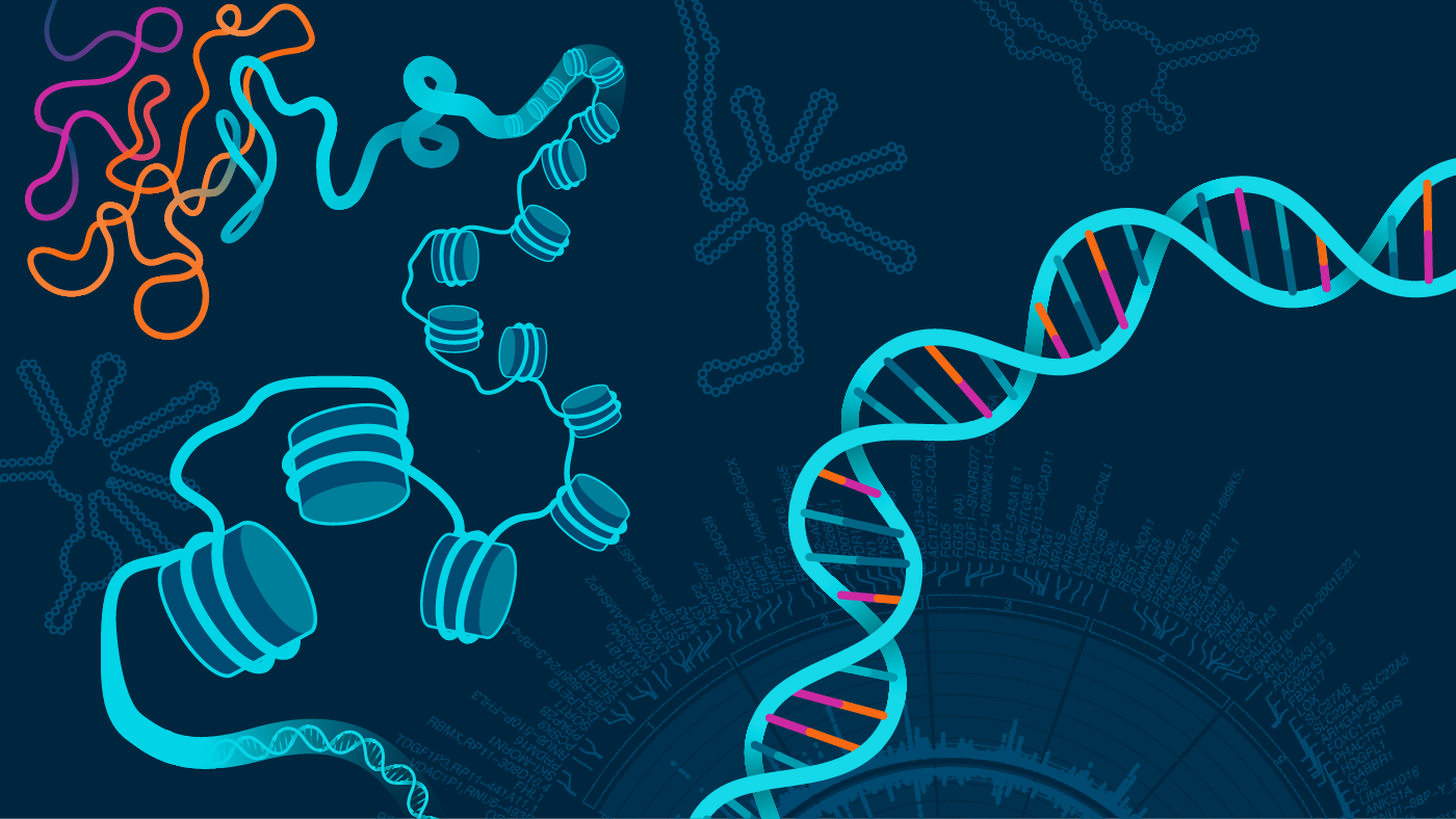 Illustration of DNA