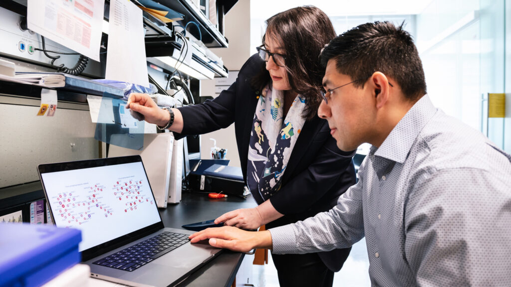 Revealing How Blood Triggers Brain Disease