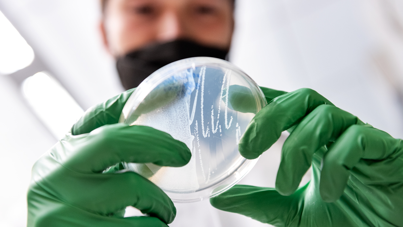 Santi Bhattarai-Kline works with bacteria cultures at Gladstone Institutes.