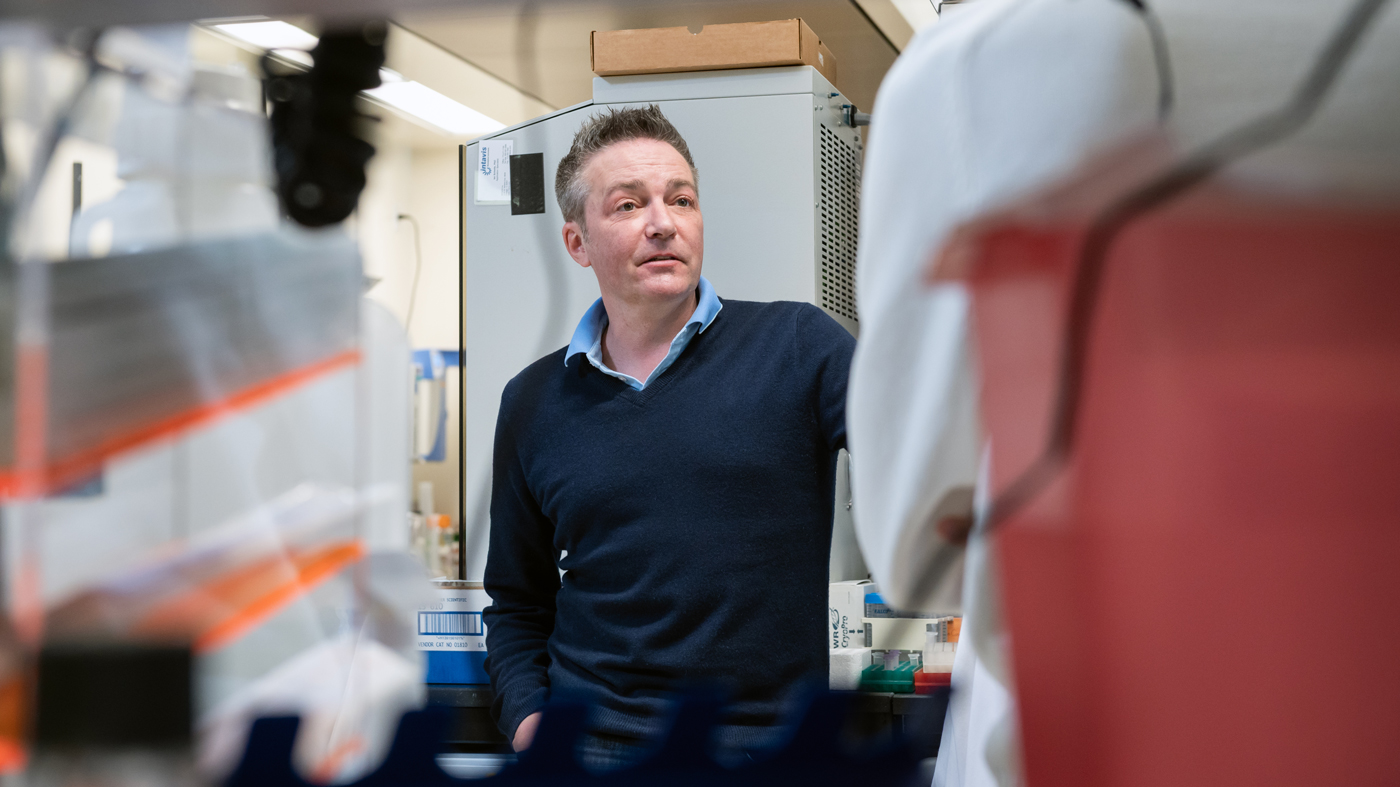 Director Benoit Bruneau in the lab at Gladstone Institutes