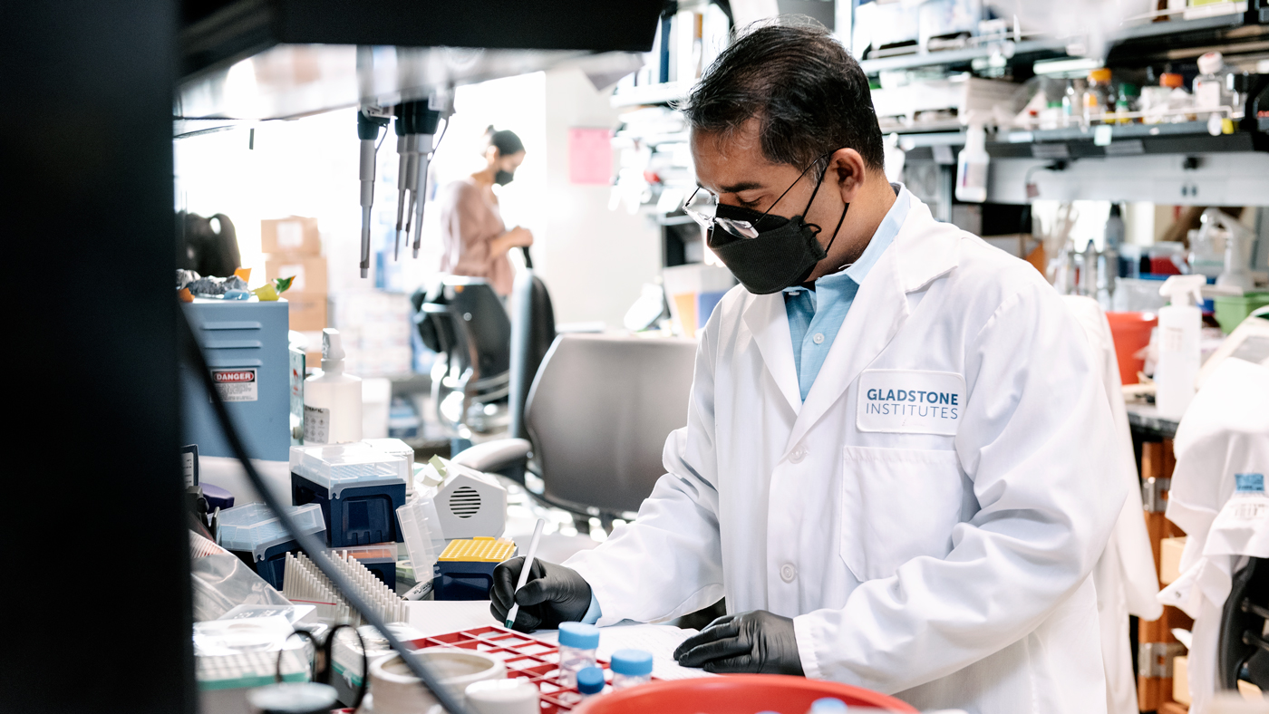 Swetansu Hota working in the Bruneau Lab at Gladstone Institutes