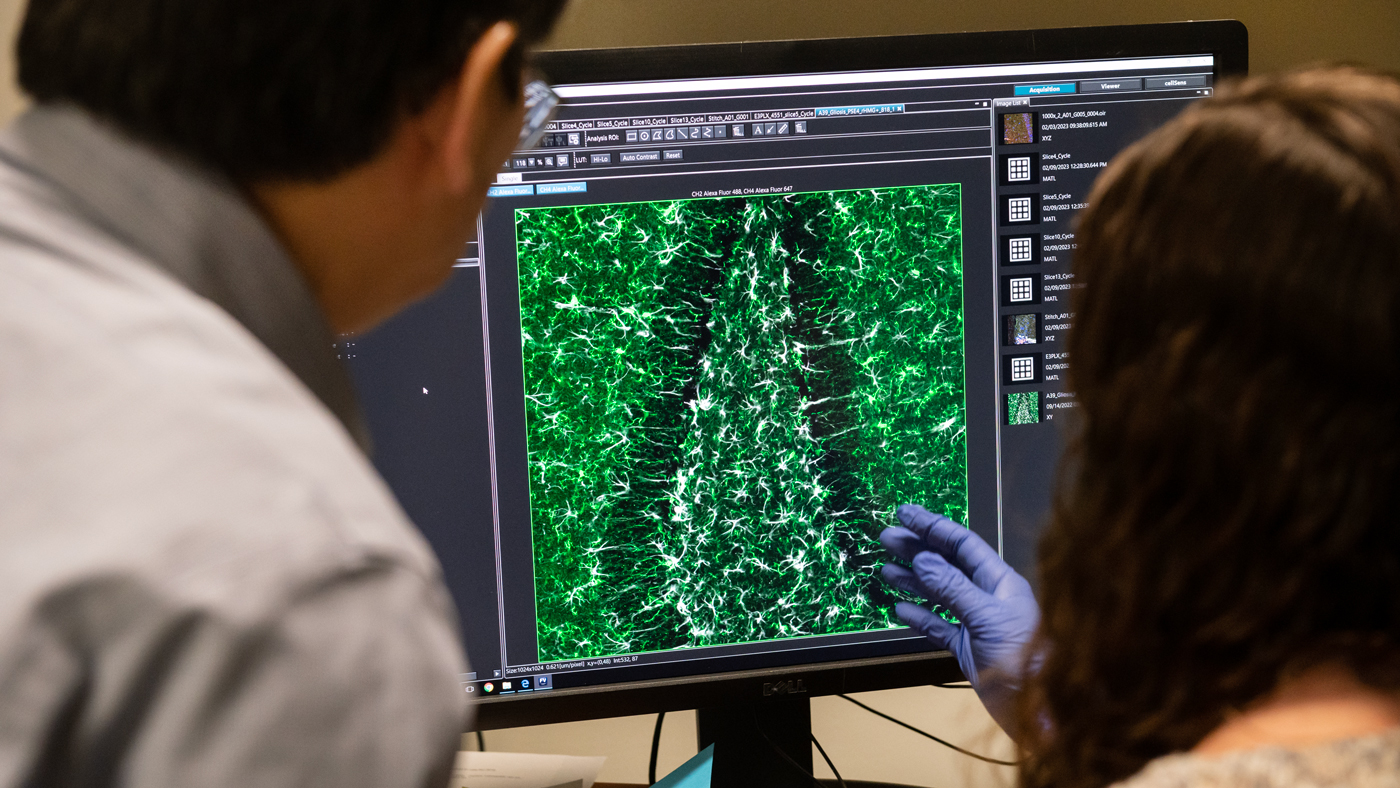 Scientists Yadong Huang and Nicole Koutsodendris looking at a monitor in the lab at Gladstone Institutes