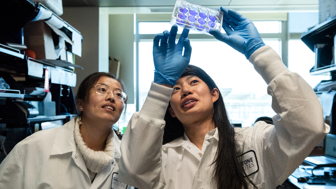Gladstone Institutes researchers Tongcui Ma and Irene Chen
