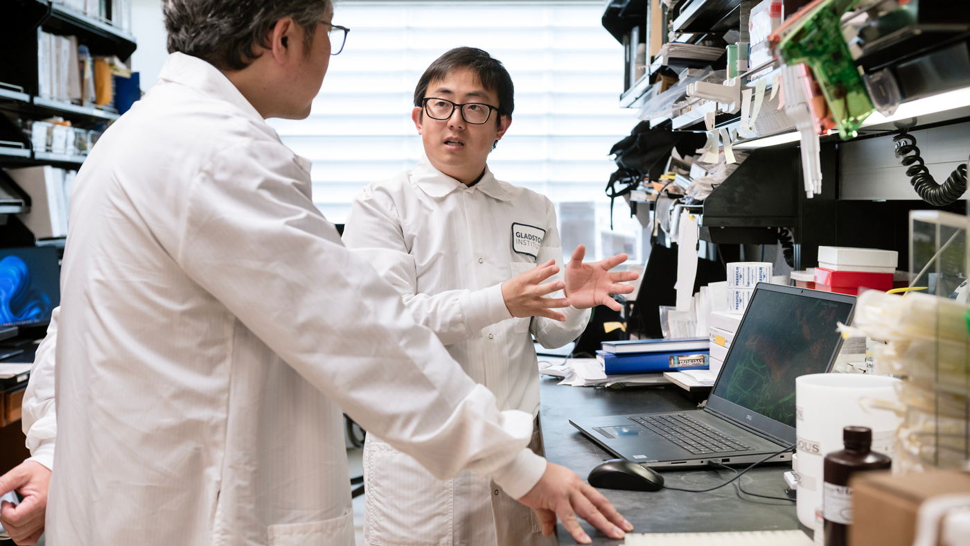 Zhaoqi Yan in the lab at Gladstone Institutes