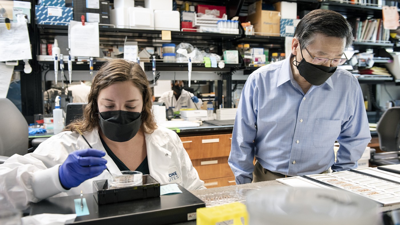 Yadong Huang in his lab at Gladstone Institutes