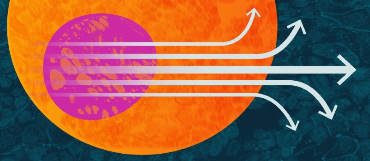 Graphic representing induced pluripotent stem cells (iPS cells)