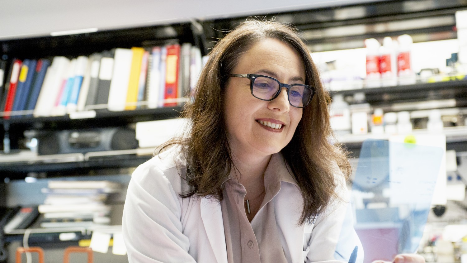Katerina Akassoglou in the lab