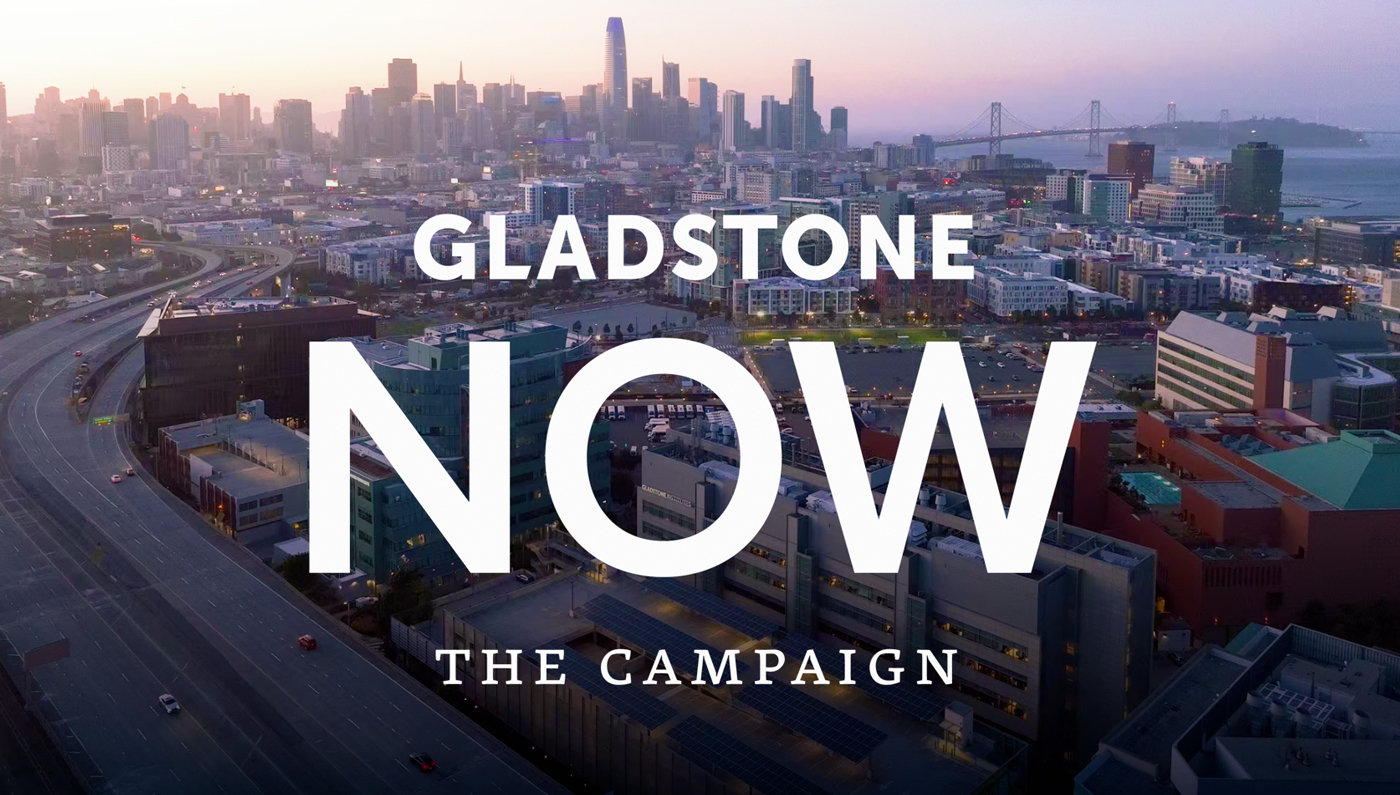 The Gladstone NOW Campaign