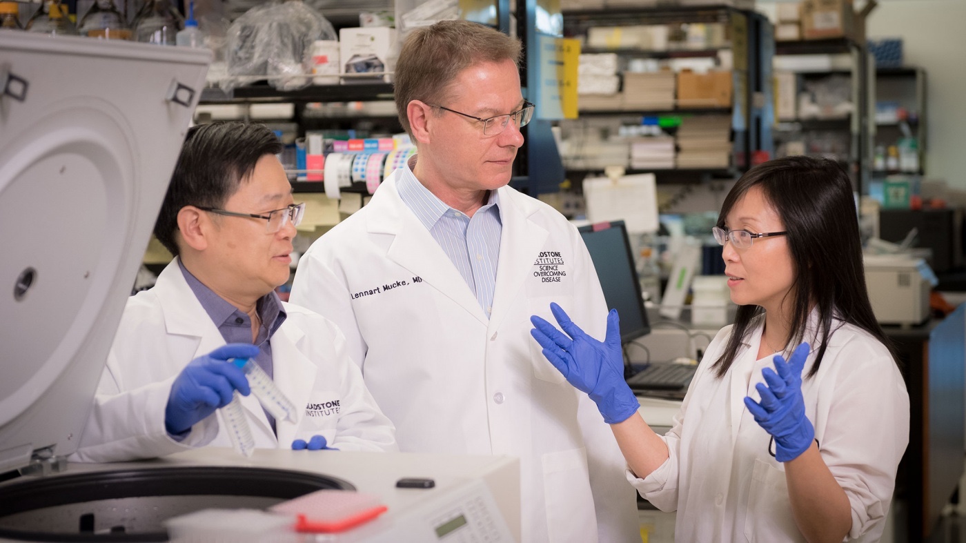 Yadong Huang, MD, PhD, Lennart Mucke, MD, and Li Gan, PhD
