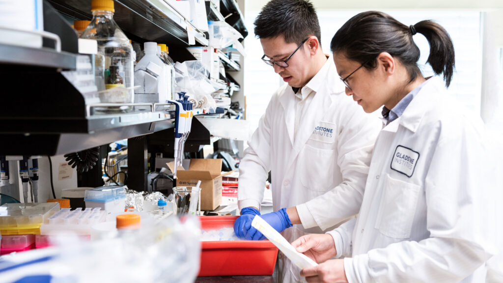 Zeroing in on a New Treatment for Autism and Epilepsy