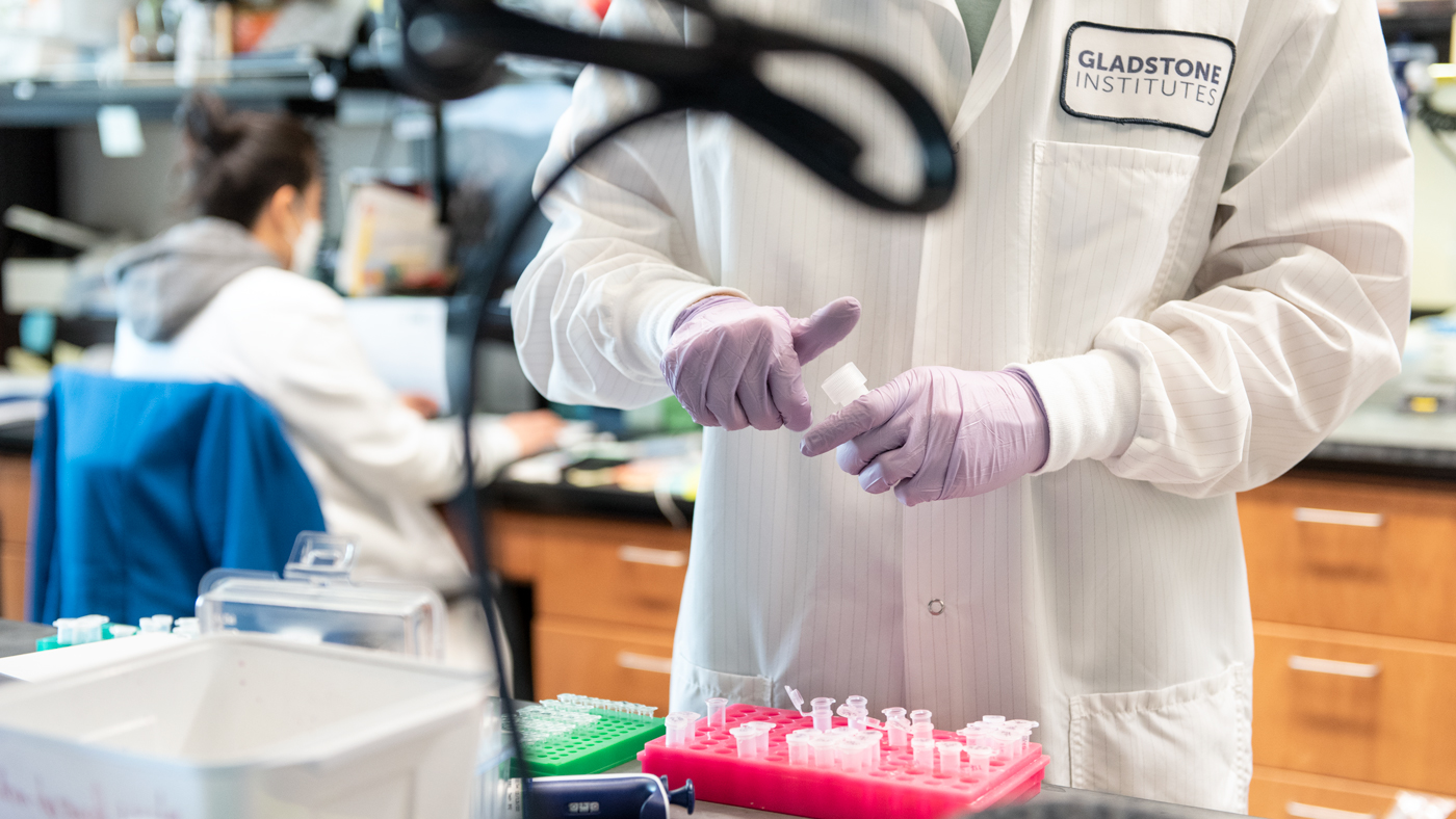 Scientist working in the Marson Lab at Gladstone Institutes